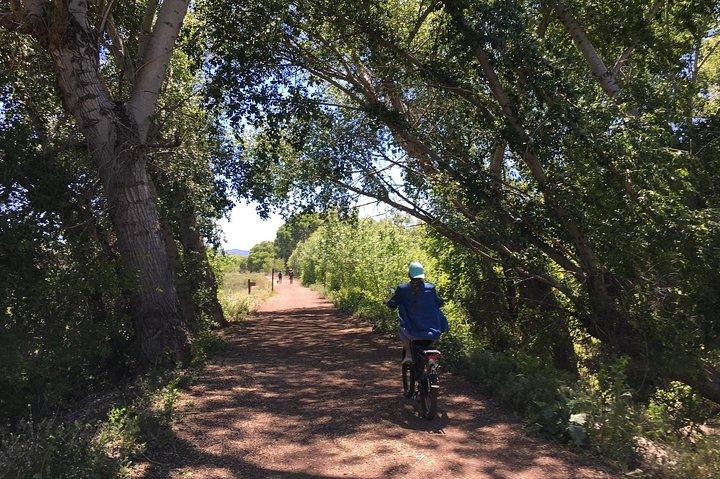 2 timmars E-cykeltur på The Peavine Trail (Populär)