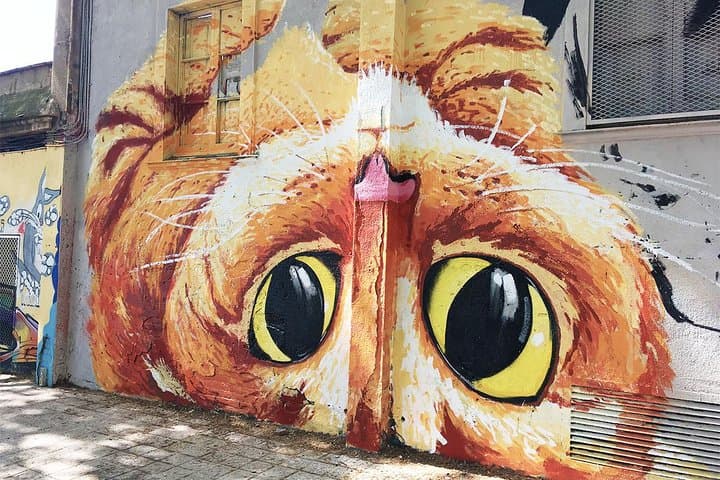 Barcelona Street Art and Graffitti Bicycle Tour