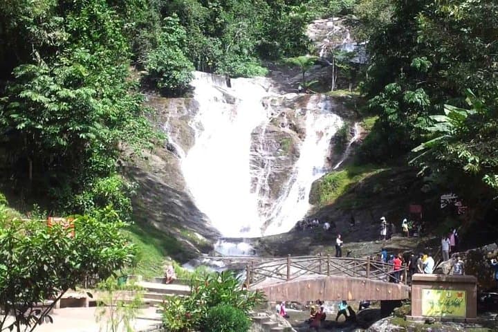 Full-day Cameron Highlands Day Trip from Kuala Lumpur
