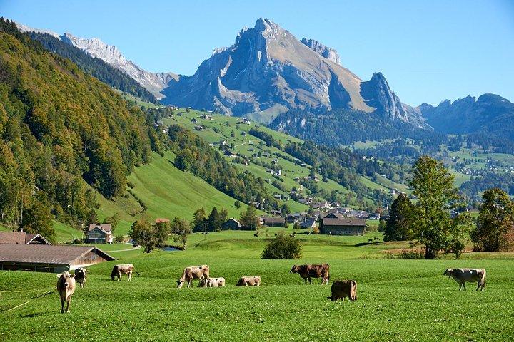 Tour di Heidiland e Liechtenstein da Zurigo