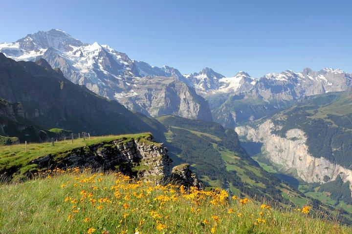 Alpes suisses : Excursion d'une journée à Interlaken et Grindelwald au départ de Zurich