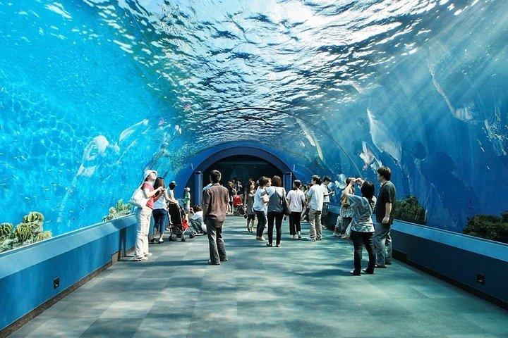 Underwater World på Pattaya Admission Ticket