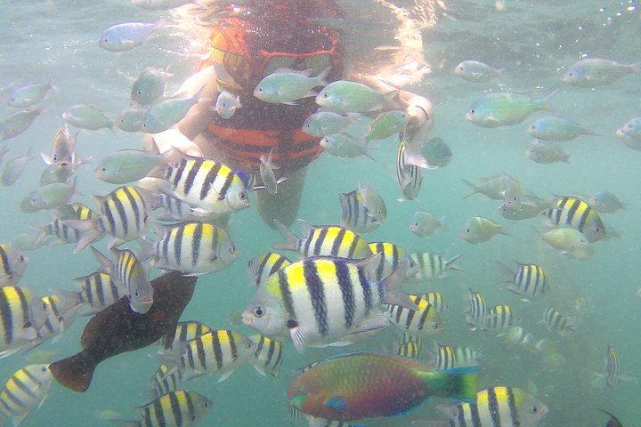 Pacchetto 3 giorni: visita i villaggi di Sasak, escursioni alle cascate e snorkeling 3 Gilis