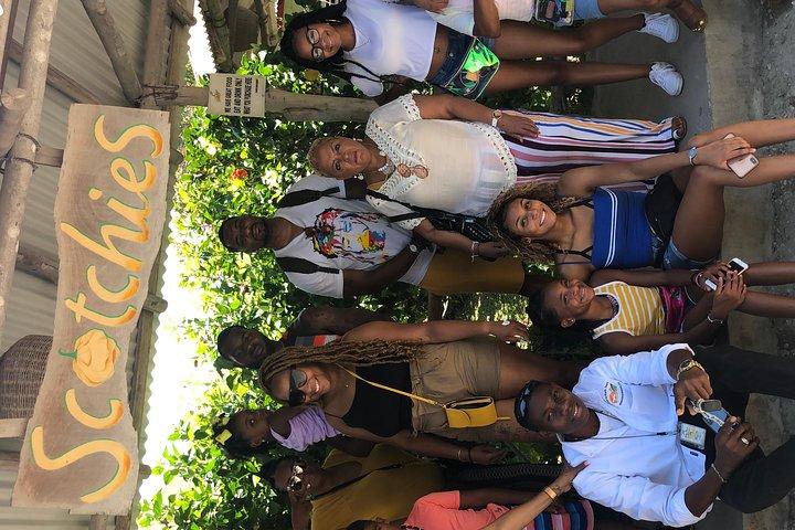 Explorez Montego Bay jusqu’à Dunn’s River et Luminous Lagoon Night Tour