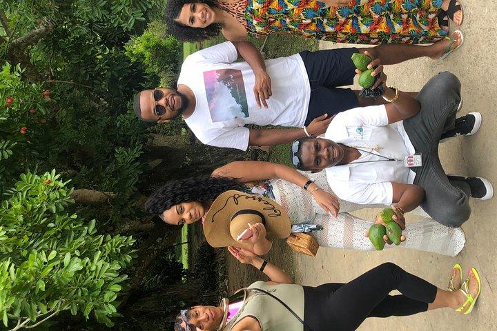 Explora Montego Bay a Dunn’s River & Luminous Lagoon Night Tour
