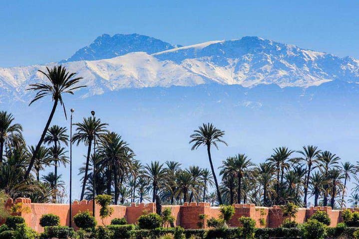 Casablanca to Marrakech Day Trip with Camel Ride