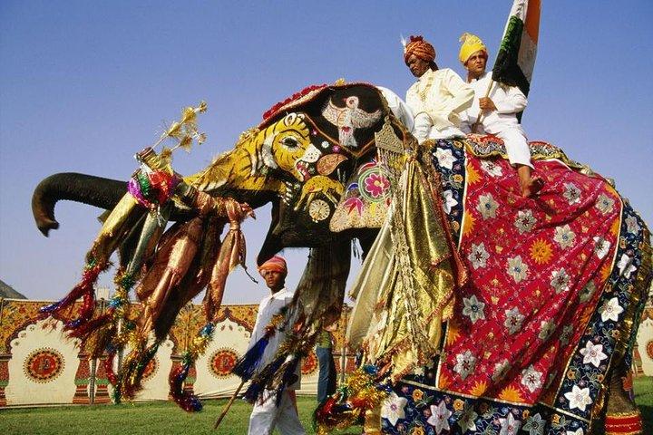 Tour privato di 2 giorni a Jaipur – fortezze, palazzi e siti del patrimonio