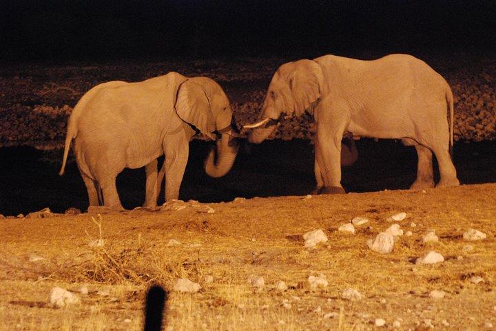 Safari noturno com jantar de Bush: Yala National Park Buffer Zone