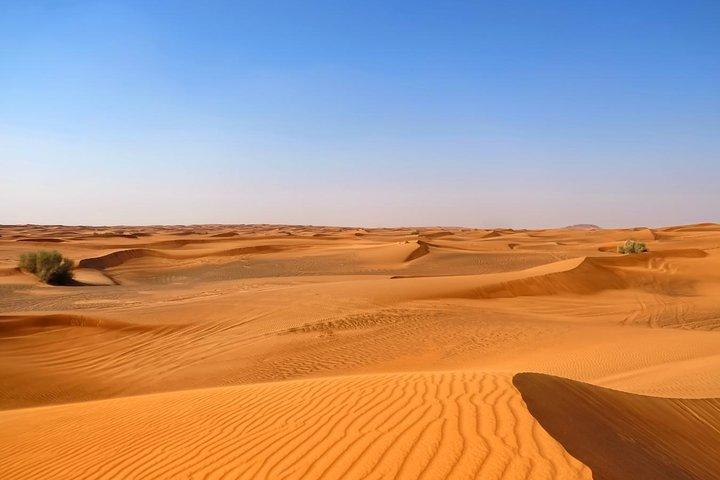 Dubai Desert Safari con Dune Bashing, Camel Rides e BBQ