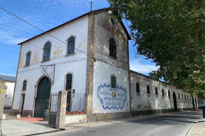 Half Day in Sintra and Cabo da Roca with Wine Tasting