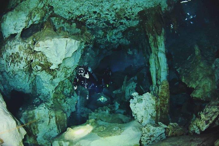 Dos Ojos Cenote Cavern Dive - Barbie Line och Bat Cave