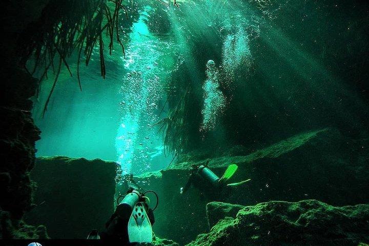 Upptäck dykning på Casa Cenote
