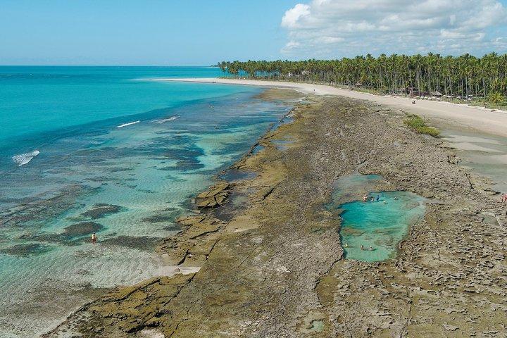 Visite de la plage de Carneiros au départ de Maragogi avec Costazul Turismo