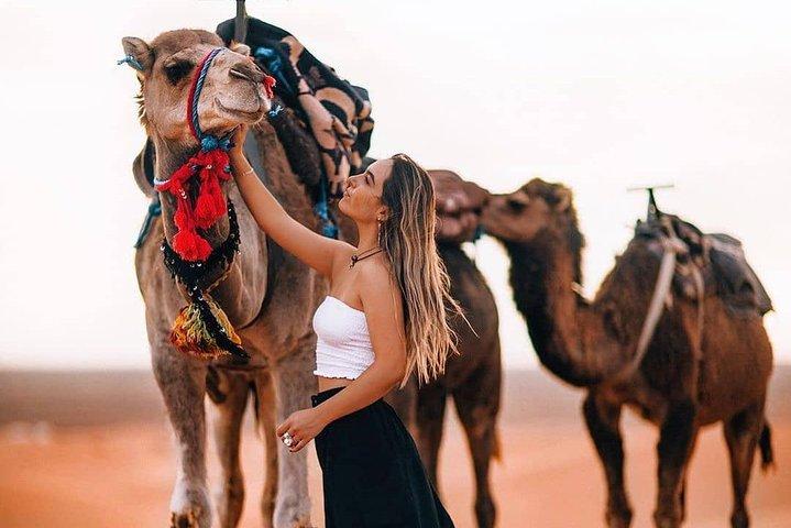 Marrakech Luxery sunset Camel Ride