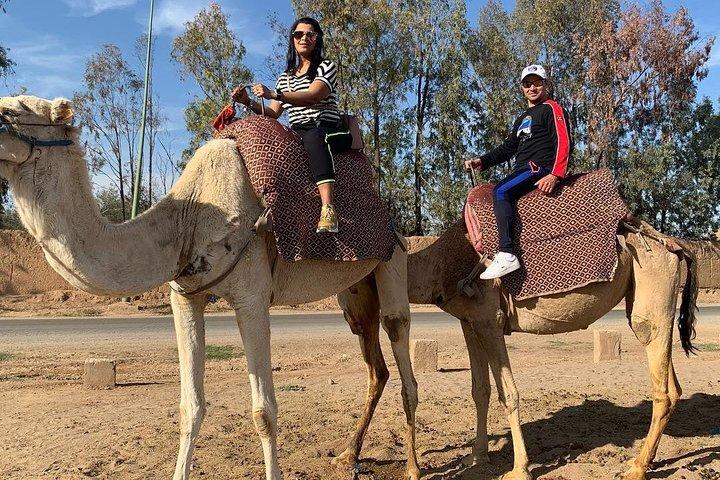 Marrakech Luxery sunset Camel Ride
