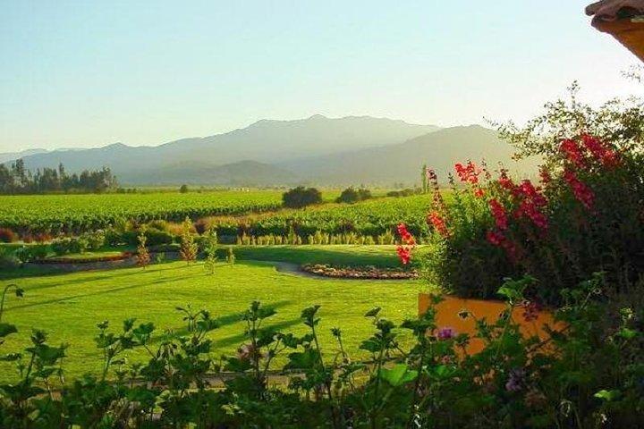 Casablanca Wine Tour med Valparaiso og Viña del Mar