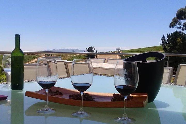 Cape Winelands Wine Tour (Tour del Vino del Capo)
