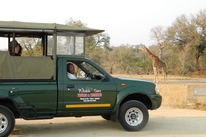 Fælles heldags guidet safaritur besøg i Kruger National Park