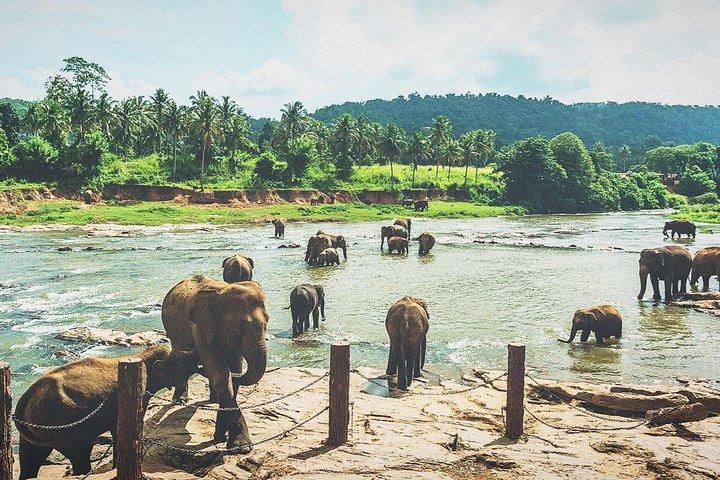 Kandy-stadstour voor paarprijs