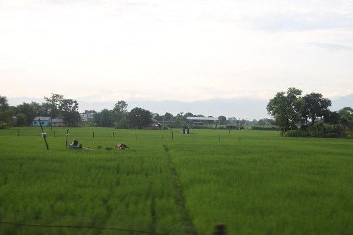 Kathmandu Chitwan Pokhara Tour