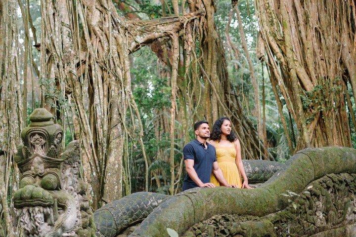 Ubud Sacred Monkey Forest & Art Village Tour