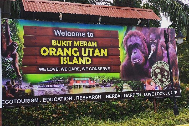 Orang Utan Island Perak Day Tour (Privado)