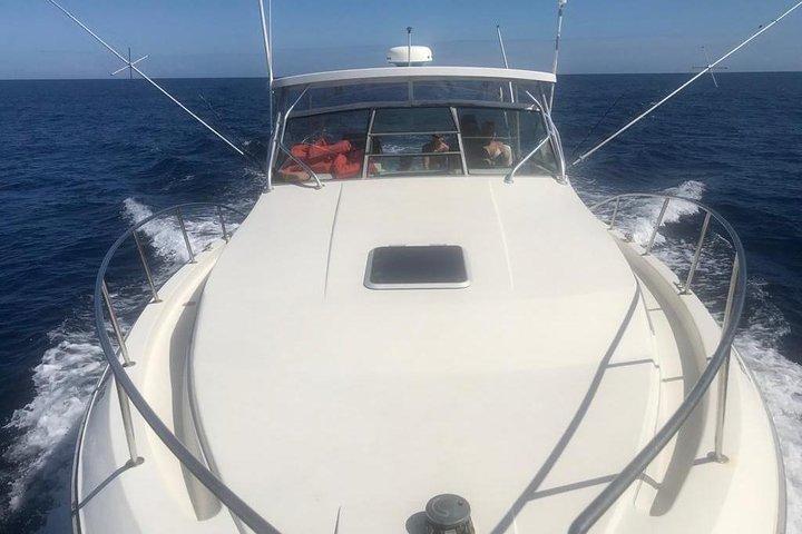 Excursão dupla privada de mergulho com snorkel no recife com upgrade opcional de parasail