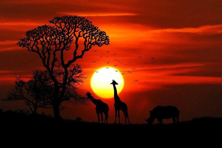 Tour di 12 giorni in Kenya, Tanzania