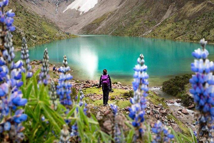 Excursion d'une journée au lac Humantay (6 petits groupes)