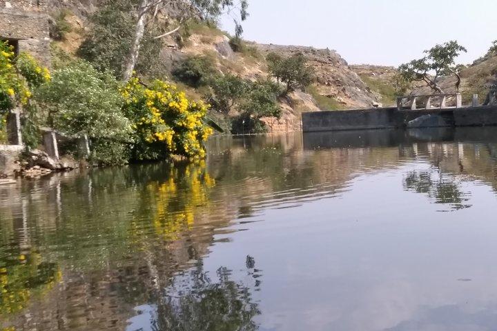Excursion d'une journée à Udaipur avec guide professionnel