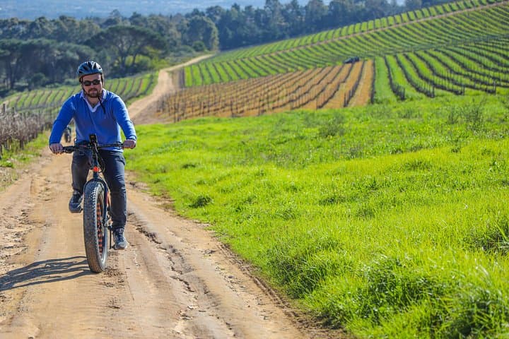 From Cape Town: Full Day Electric Bike Winelands Tour & Lunch