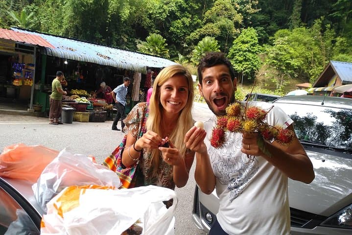 Amazing Cameron Highland Day Tour From Kuala Lumpur