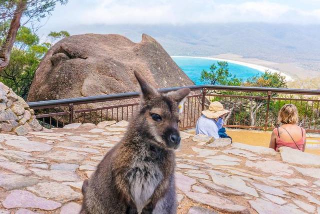Wineglass Bay