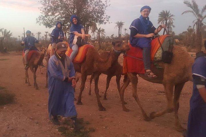 Marrakech Camel Safari i Agafay Desert