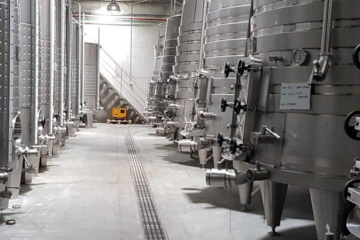 Dão Vinregion: Portugisisk version på Bordeaux