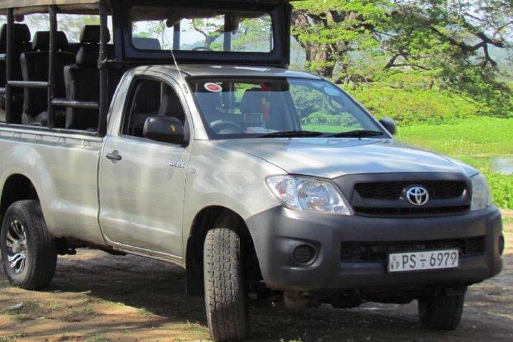 Safari privé en soirée au parc national de Yala