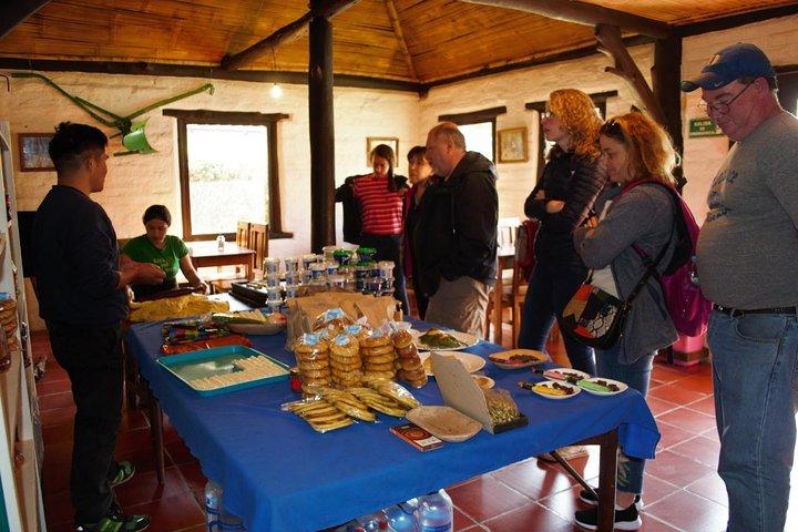 Kulturella äventyr i Otavalo: Cuicocha marknad och lagun