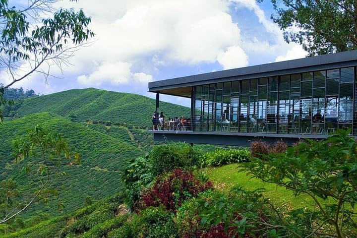 Cameron Highland Day Tour From Kuala Lumpur By Group