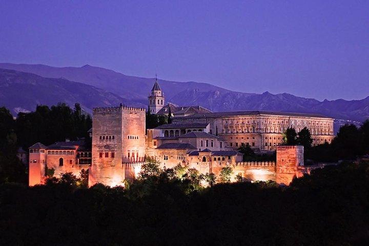 Visite nocturne privée de l'Alhambra : Palais Nasrides, Palais de Charles Quint