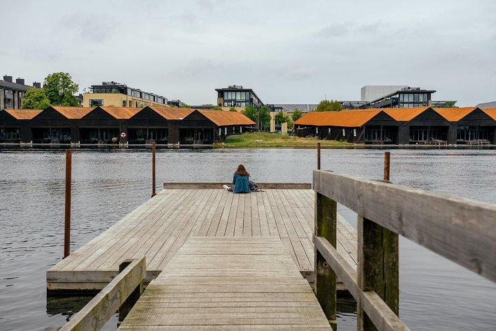 A beleza de Copenhague de bicicleta: tour privado
