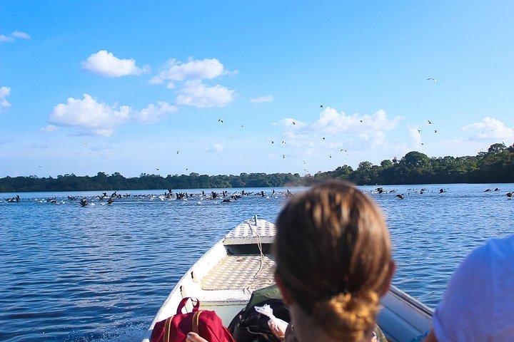 Abenteuer im Amazon5D/4N bei Amazon Peacock Paradise Ecolodge