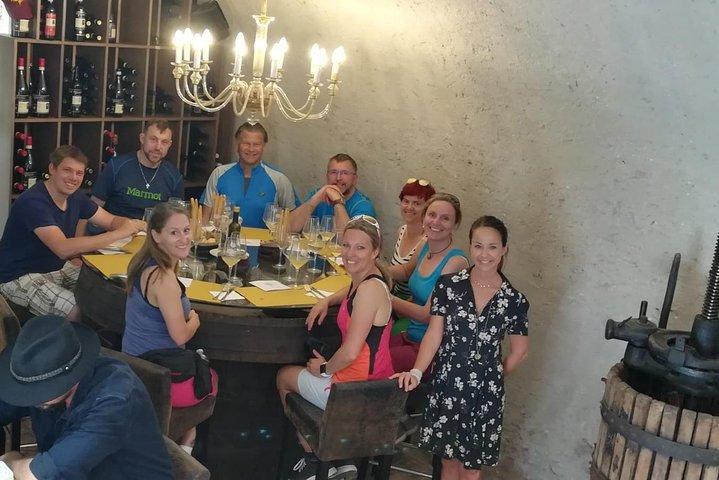 Grand tour della Valpolicella: focus Amarone, 2 Cantine e Pranzo