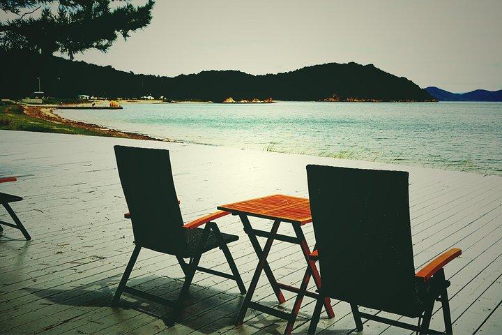 Naoshima privat tur af national licenseret turistguide