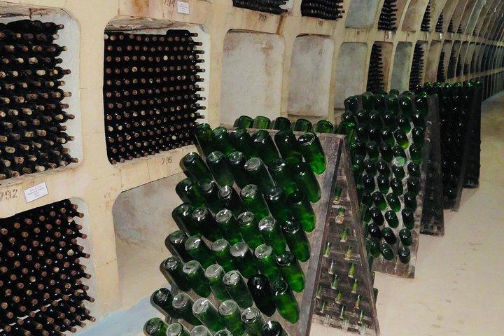 Transnistrien Tour & Milestii Mici Weingut