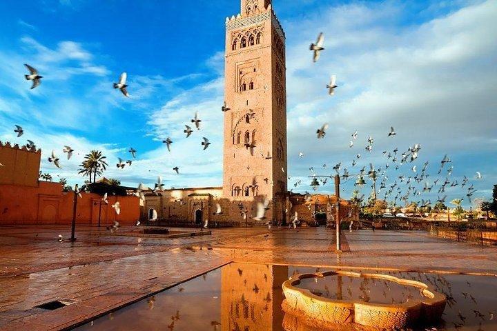 Marrakech City tour: Private Half-Day Guided City Tour