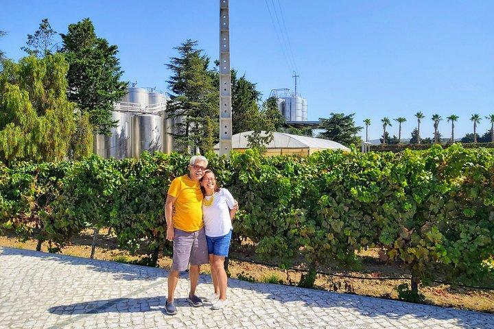Lissabon och södra vinregionerna privat lyxtur