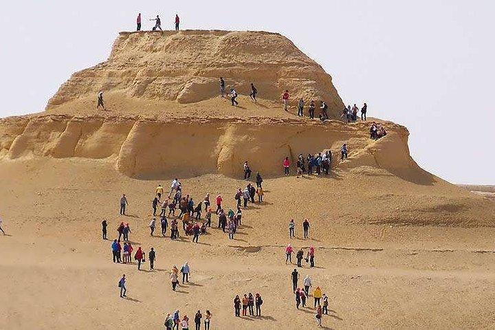 Le meilleur du Fayoum au Caire