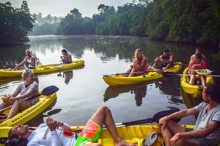 Madu River Sunrise Mangrove Kayaking de Colombo