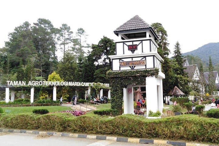 Cameron Highlands Day Trip