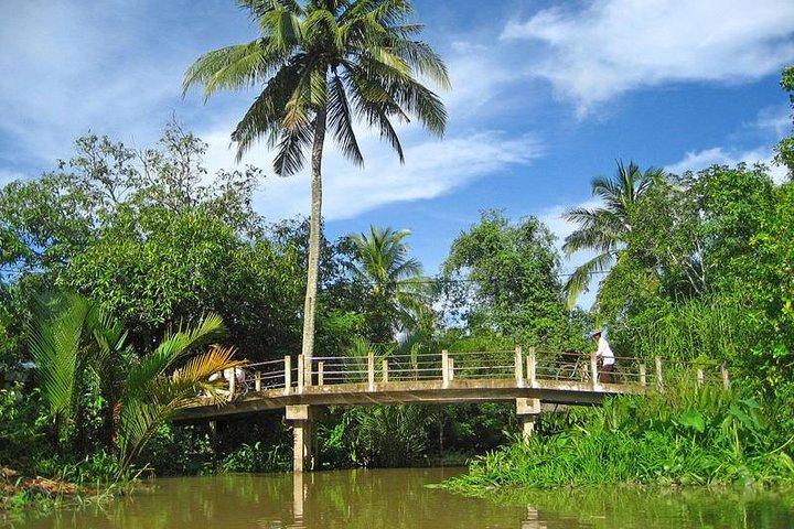 Excursão privada de um dia ao delta do Mekong